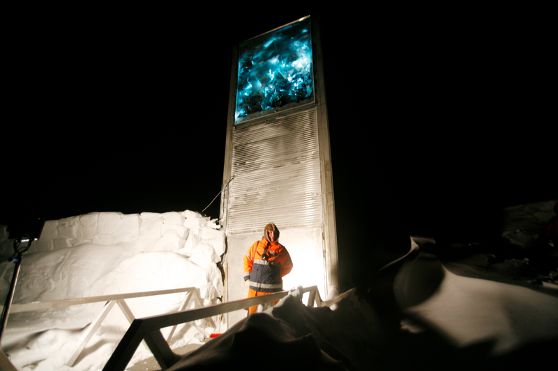 Illustration for article titled Doomsday Seed Vault Adds 20k New CropsâIncluding Beer Barley